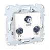 ALREA PRISE TV FMSAT-ALB61329