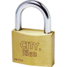 CADENAS 25MM ACIER 2 CLES
