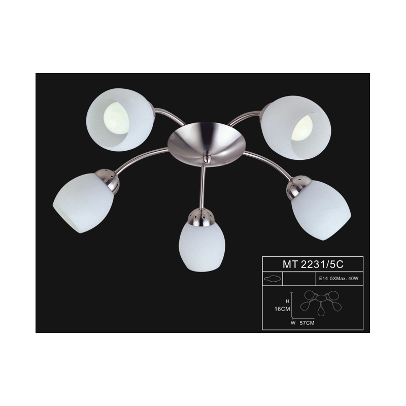 LUMINAIRE MT2231/5C LUMINAIRE MT2231/5C