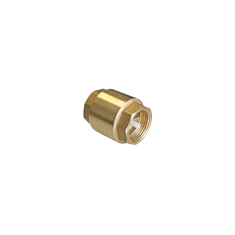 CLAPET DE RETENUE UNIVERSEL 1"1/4 CLAPET DE RETENUE UNIVERSEL 1"1/4
