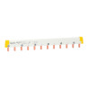 PEIGNE BI  24 PAS 12MOD-14882