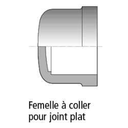 PVC PRESSION BOUCHON D63