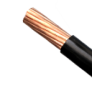 CABLE U1000 R2V 150MM AU ML