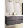 MEUBLE SALGAR 120CM + DBLE VASQUE PORCELAINE + MIROIR + HALOG GRIS
