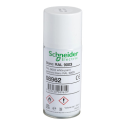AEROSOL DE RETOUCHE - 08962