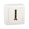 ALREA PRISE TELEPHONE 8 PLOTS BLANC-ALB62366