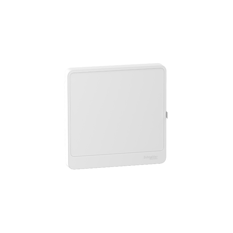 COFFRET PORTE OPAQUE SAILLIE 1RG 13MOD OPALE-R9H13421 COFFRET PORTE OPAQUE SAILLIE 1RG 13MOD OPALE-R9H13421