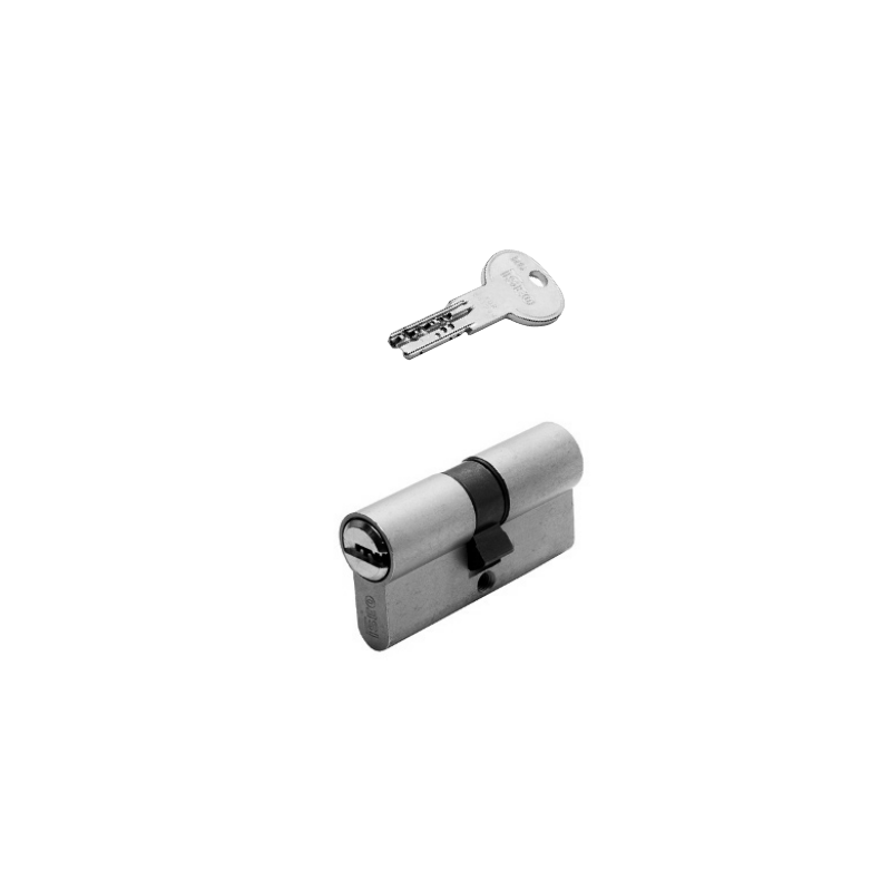 CYLINDRE PROFIL EUR TRAFIC6 30X40MM NICKELE 5 CLES CYLINDRE PROFIL EUR TRAFIC6 30X40MM NICKELE 5 CLES