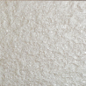 CARRELAGE NCC GRANIT 60 X 60 CM
