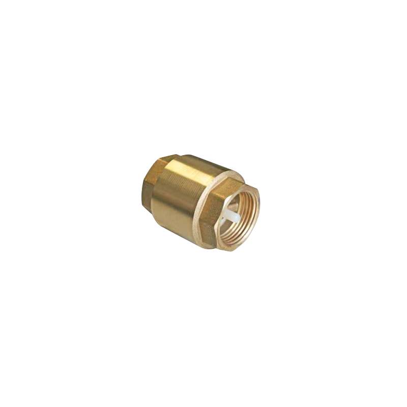 CLAPET DE RETENUE UNIVERSEL 1" CLAPET DE RETENUE UNIVERSEL 1"